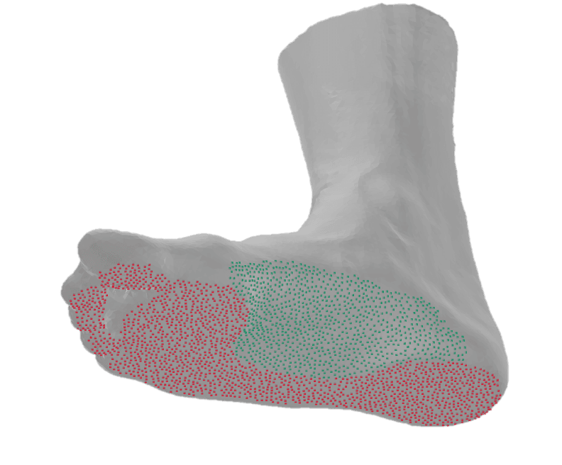 Foot scanning preview